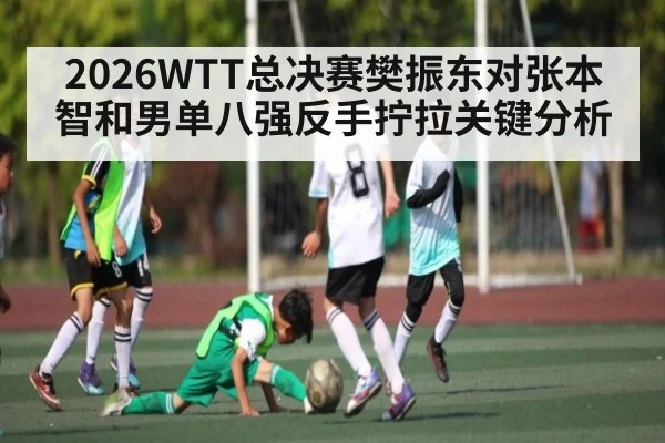 2026WTT总决赛樊振东对张本智和男单八强反手拧拉关键分析